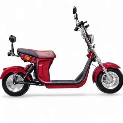 Sähköskootteri Evo2, 1000W, eri värejä*E-go Online