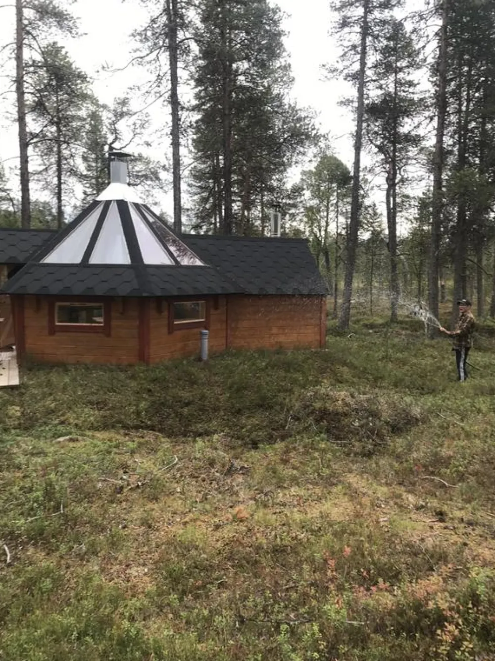 Siirtovarvikko*Kuntta New