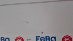 Hot Sisustuspaneeli Aure Riihi STS PN 15x120x2500mm harjattu puhtaan valkoinen Seinäpaneelit|Kattopaneelit