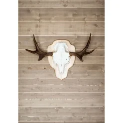Discount Sisustus-/saunapaneeli Struktuuri 15x176x2350 mm kuusi STS kuultava hiekka Saunapaneelit|Saunapaneelit