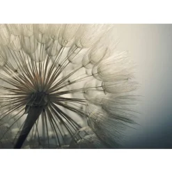 Sisustustarra Ephemerality eri kokoja*Artgeist Clearance