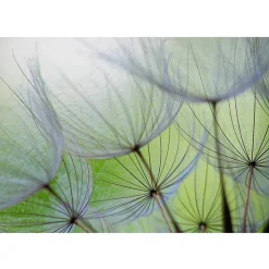 Clearance Sisustustarra Fleeting moments eri kokoja Sisustustarrat
