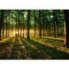 Best Sisustustarra Mystical Morning eri kokoja Sisustustarrat