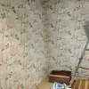 Tapetti Belle 5347-2, non-woven, ruusu, romanttinen, vaalea/punainen*Decor Maison Hot
