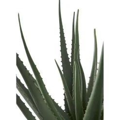 Tekokasvi Aloe Vera, 51cm, vihreä*House Nordic