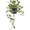 Discount Tekokasvi Hoya Carnosa, 33cm, vihreä Tekokasvit Ja Kranssit