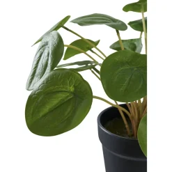 Outlet Tekokasvi Kilpipiilea, 28cm, vihreä Tekokasvit Ja Kranssit