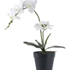 Tekokasvi Orkidea, 49cm, valkoinen/vihreä*House Nordic Clearance