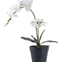 Tekokasvi Orkidea, 49cm, valkoinen/vihreä*House Nordic Clearance