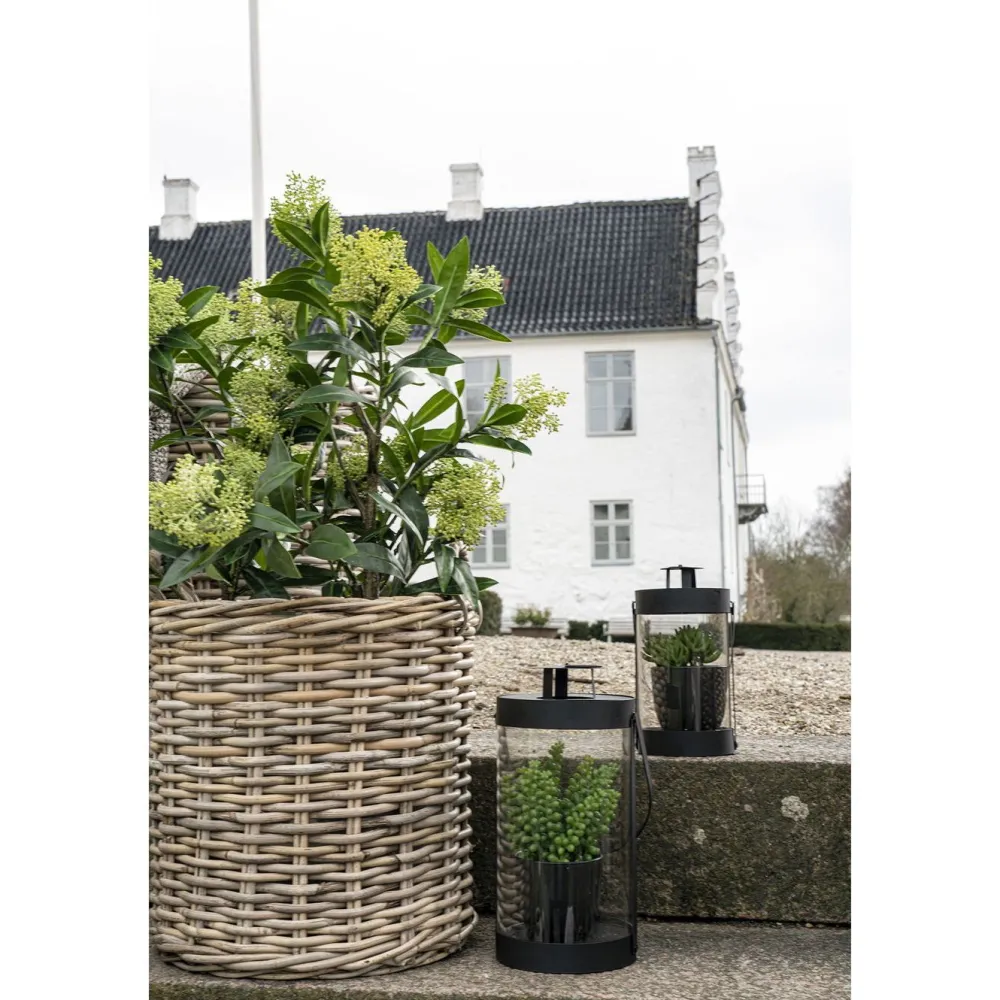 Outlet Tekokasvi Skimmia, 75cm, vihreä Tekokasvit Ja Kranssit