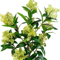 Outlet Tekokasvi Skimmia, 75cm, vihreä Tekokasvit Ja Kranssit