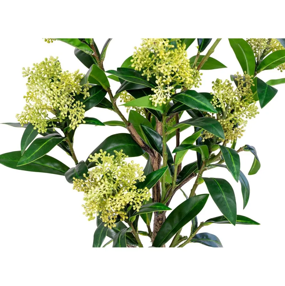 Outlet Tekokasvi Skimmia, 75cm, vihreä Tekokasvit Ja Kranssit