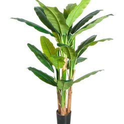 Tekokasvi Banana Tree, 170cm*Lykke Best