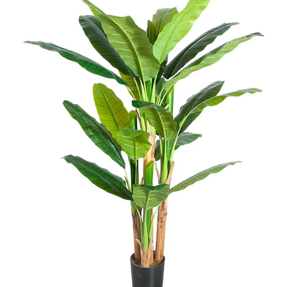 Tekokasvi Banana Tree, 170cm*Lykke Best