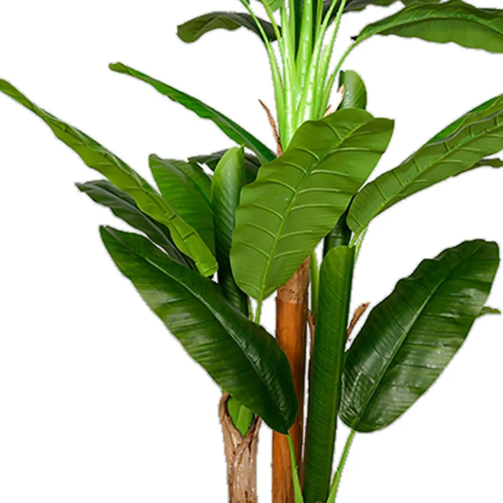 Tekokasvi Banana Tree, 170cm*Lykke Best