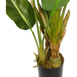 Tekokasvi Bird of Paradise, 200cm*Lykke Sale