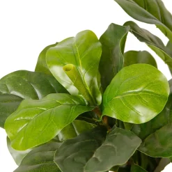 Tekokasvi Fiddle-Leaf Fig, 85cm Tekokasvit Ja Kranssit
