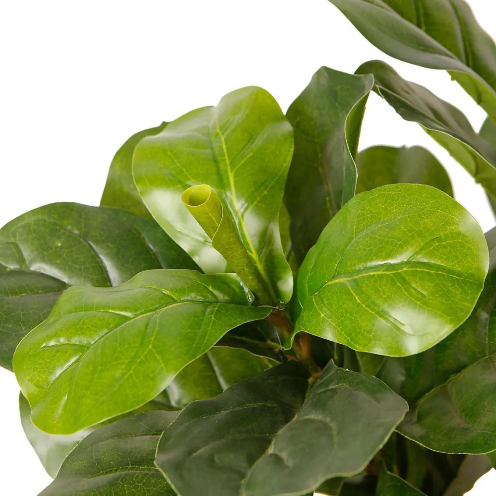 Tekokasvi Fiddle-Leaf Fig, 85cm Tekokasvit Ja Kranssit