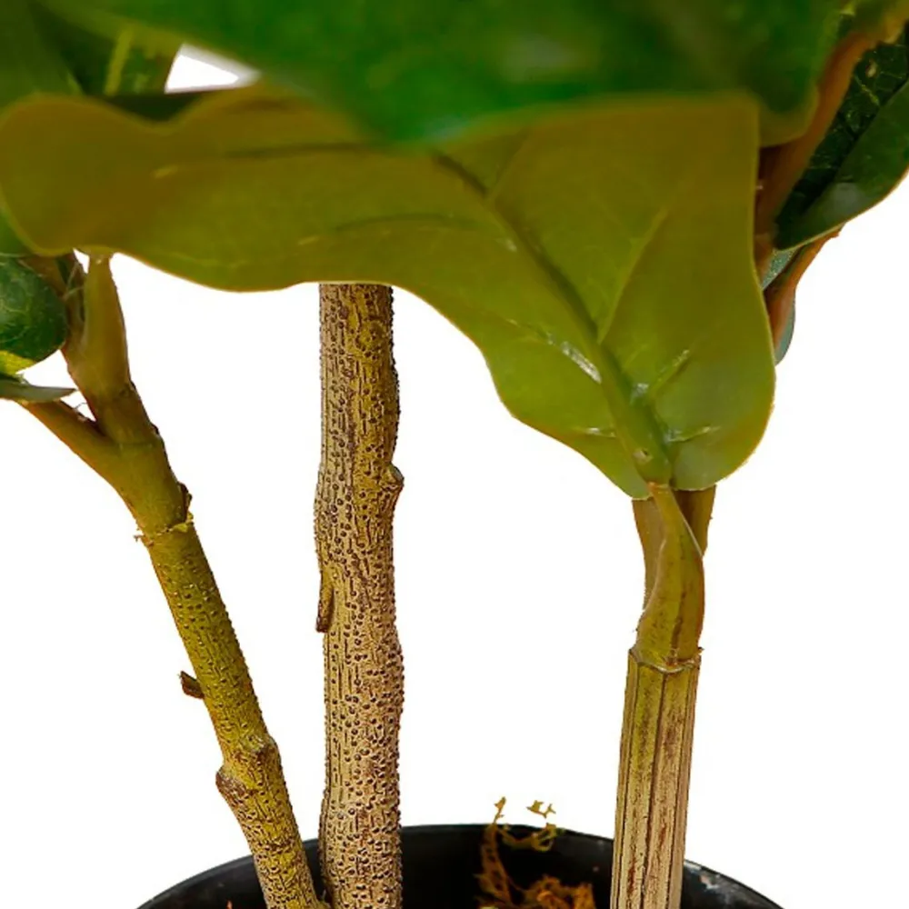Tekokasvi Fiddle-Leaf Fig, 85cm Tekokasvit Ja Kranssit