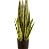 Tekokasvi Snake Plant, 65cm*Lykke Clearance