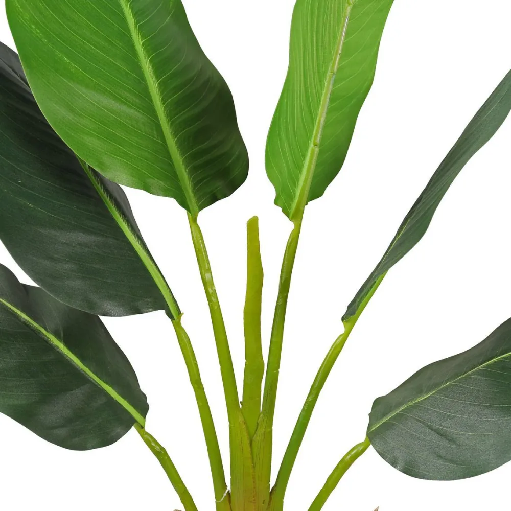 Tekokasvi Strelitzia Tree, 90cm*Lykke Discount