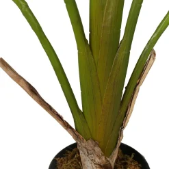 Tekokasvi Strelitzia Tree, 90cm*Lykke Discount