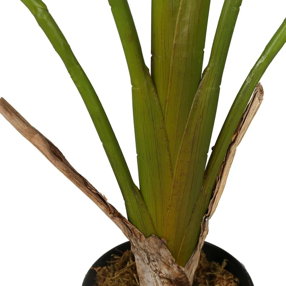 Tekokasvi Strelitzia Tree, 90cm*Lykke Discount