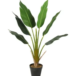 Tekokasvi Strelitzia Tree, 90cm*Lykke Discount