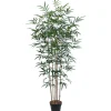 Best Tekopuu BAMBOO, K150 cm, 5 puunrunkoa, musta ruukku, vihreä Tekokasvit Ja Kranssit