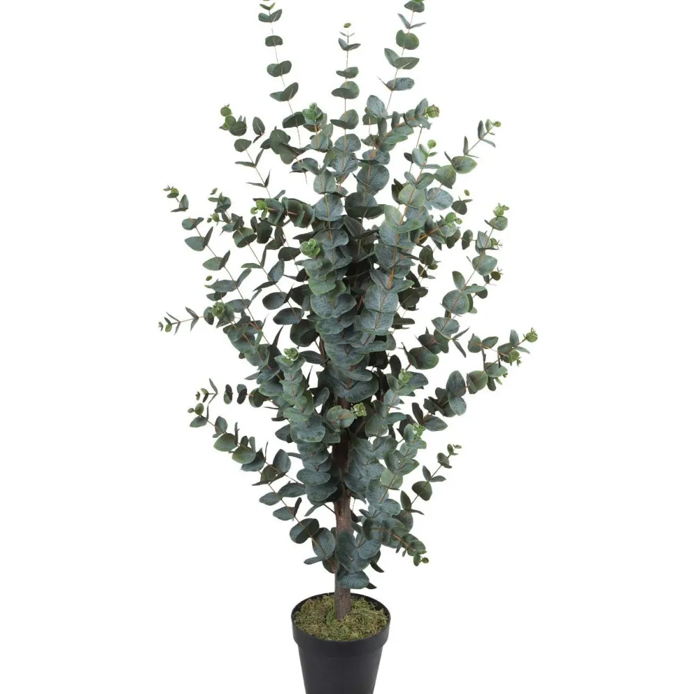 Tekopuu WIND EUCALYPTUS K120 cm, vihreä*Home4you Discount