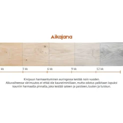 Best Terassilauta Kivipuu SHP 28x120mm mänty Terassilaudat