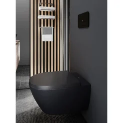 Online WC-istuimen kansi Subway 3.0 Ebony, soft close Wc-Istuinten Varaosat