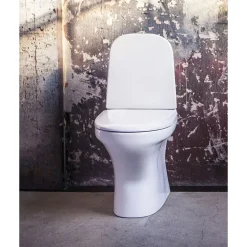 WC-istuin Estetic 8300 piilo S/P-lukko, Hygienic Flush, C+, mattavalkoinen*Gustavsberg New